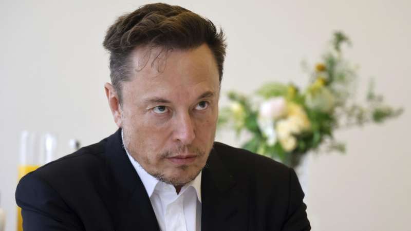 Маск заявил, что только "Альтернатива для Германии" спасет немцев
